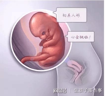 优胚鲜胚移植医学中心